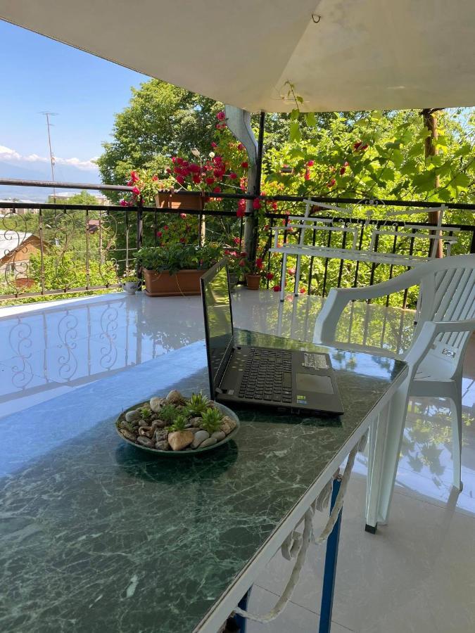 Nino'S Veranda Apartment Telavi Bagian luar foto