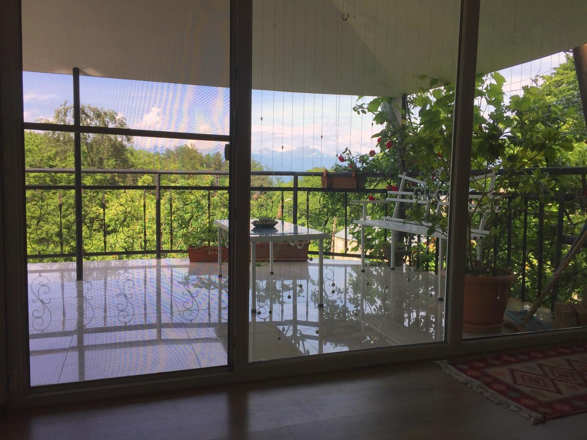 Nino'S Veranda Apartment Telavi Bagian luar foto